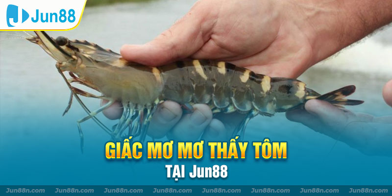 Giấc mơ mơ thấy tôm tại Jun88 